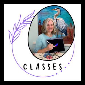 Online Classes and DVD's