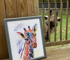 A curious giraffe examining his portrait